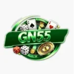 GN55 Game